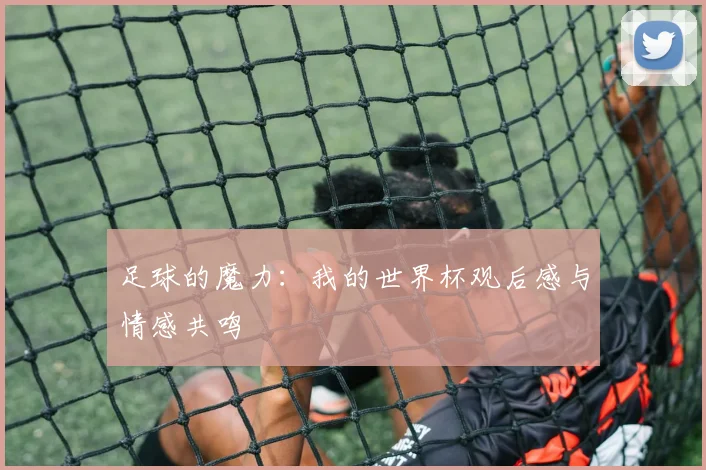 足球的魔力：我的世界杯观后感与情感共鸣