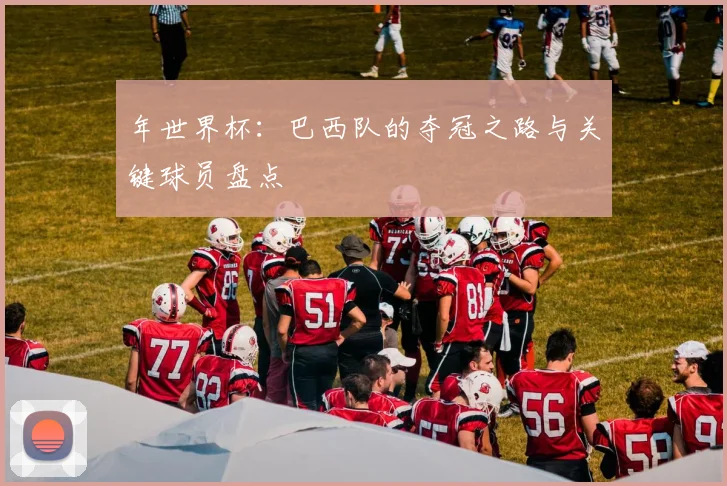 年世界杯：巴西队的夺冠之路与关键球员盘点