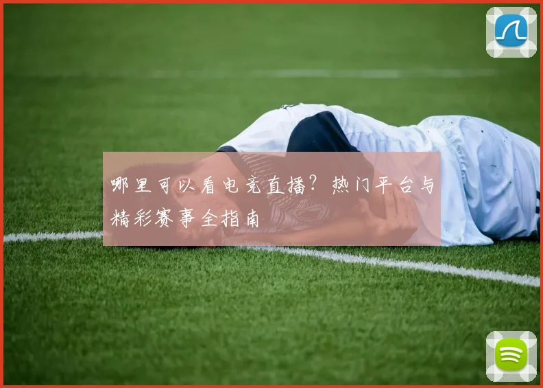 哪里可以看电竞直播?热门平台与精彩赛事全指南